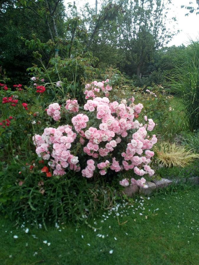 Chez Catherine - Chaumiere Normande